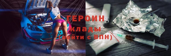 индика Арсеньев