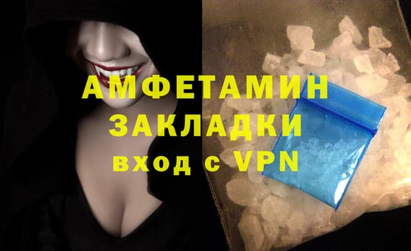 индика Арсеньев