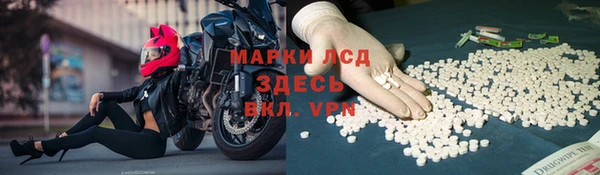 индика Арсеньев