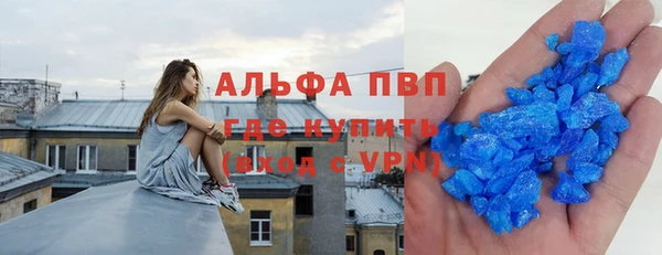 индика Арсеньев