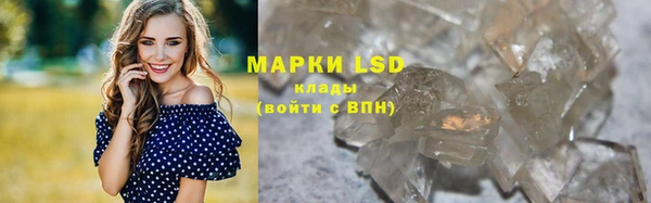 индика Арсеньев