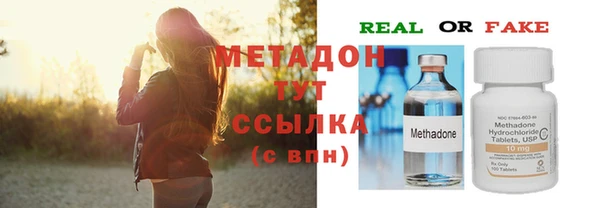индика Арсеньев