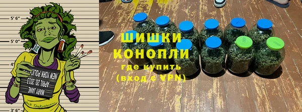 индика Арсеньев
