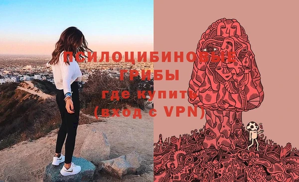 индика Арсеньев