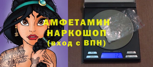 индика Арсеньев