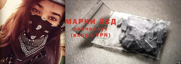 индика Арсеньев
