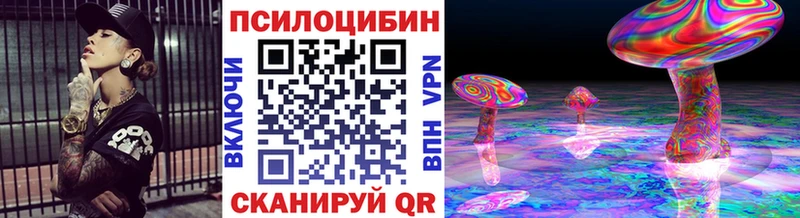 сколько стоит  дарк нет состав  Галлюциногенные грибы Psilocybine cubensis  Инсар 